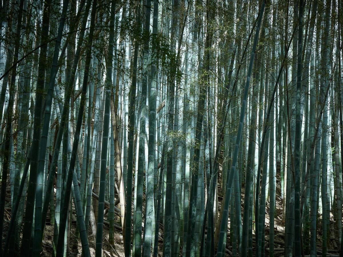 25